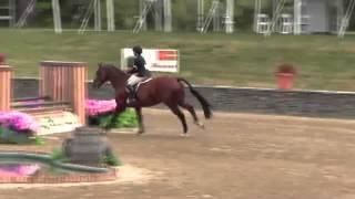 Video of Pilgrim De Blue Mery ridden by Corinne Macaulay from ShowNet!