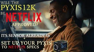 Will the PYXIS 12K Be Netflix Approved? Its Sensor Already Is + Set Up Your PYXIS to Netflix Specs
