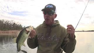 How to Catch Bass with a Tube