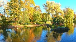 Estonia Tallinn JAPANESE GARDEN Area of Kadriorg Park in Autumn [4K60]