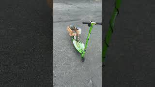 JET POWERED RAZOR SCOOTER !  #engineering #fire #rc #plane  #pilot #airplane #crazy  #amazing