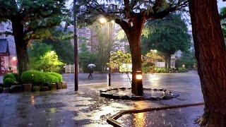 ASMR rain [Tokyo Asakusa Sensoji] 비오는소리 실제장소빗소리 雨の音 東京浅草雷門 (23:00×3)