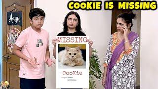 COOKIE IS MISSING | Aayu and Pihu Show