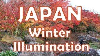 日本名花之乡 nabana no sato:  Winter Illumination 2014