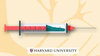 How mRNA vaccines work