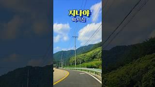 #박서진 #지나야 #장구의신  #shorts