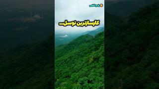 کارسازترین توسل /توسل به حضرت زهرا(س)/رادیو آگاهی / #shorts