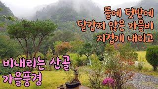 달갑지 않은 가을비 내리는 산골 풍경A mountain house with autumn rain