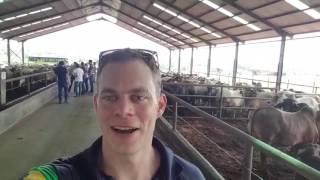 Nuffield visit foodlod in Indonesië