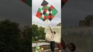 Big Kite FlyingKite Lover