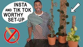 Houseplant Trends 2021: Instagram and TikTok Worthy Plant Homes with Moss Pole Set-Up!