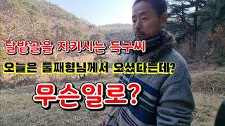 달밭골을 지키시는 득구씨//오늘은 둘째 형님께서 오셨는데 무슨일 생겼나?.