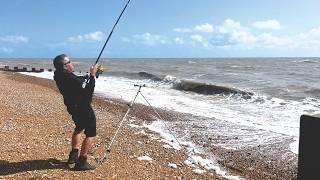 Sea Fishing Surprise!! A rare catch Today ...