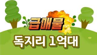 [NO.20]1억대 독지리 급매물!!!