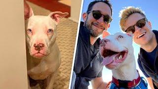 Nobody visited deaf shelter dog. Then she met two dads.