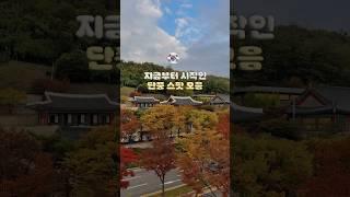 당일치기로 다녀오기 좋은 인천 단풍 여행