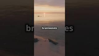Theta Waves: The MIND-BLOWING Science Behind Mind Reprogramming #shorts