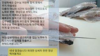 우럭회뜨기_우럭 손질법 상세영상입니다