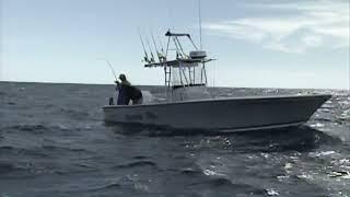 What do these fishermen have on the hook? | Discover Florida Channel