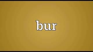 Bur meaning