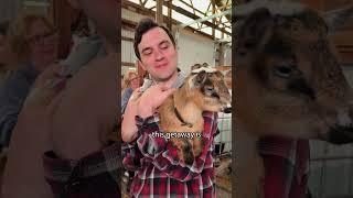 Upstate NY GOAT RETREAT?!