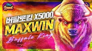 [슬롯사이트] 버팔로 킹 메가웨이즈 5000배 맥스윈 Pragmatic Play MaxWin [강원랜드] #슬롯 #슬롯머신 #슬롯실시간 #슬롯사이트