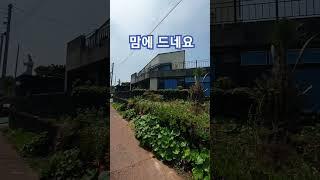 제주도 서쪽에 골때리는 공인중개사