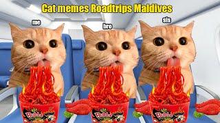 Cat Memes Road Trip: 2 Weeks in Maldives ep.2