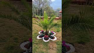 Διακόσμηση κήπου με πέτρες και βότσαλα #diy #κήποσ #garden