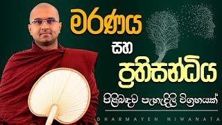 මරණය සහ ප්‍රතිසන්ධිය | Ven. Watagoda Maggavihari Thero