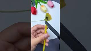 kiran craft and creations