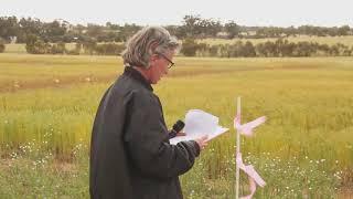 Southern Dirt's Flax in the Field Day - FLAX Crop Management