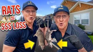 These RATS Will Cost You Thousands If You Don’t Catch Them!