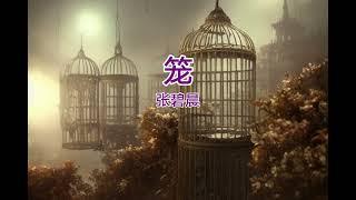 笼-张碧晨 《动态歌词Lyrics》