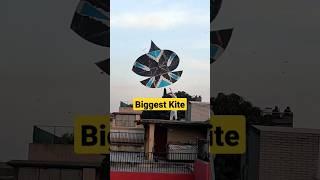 Biggest Kite Basant 2023 #shorts #tiktok #viral #shortsyoutube