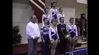 1991 IHSA Girls Gymnastics State Finals