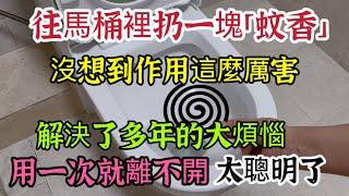 Throw a Mosquito Coil in the Toilet: Solved Years of Trouble, Amazing!