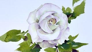 Watercolor painting White rose tutorials watercolour