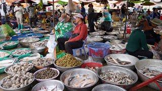 Cambodian Fish Market Day @Kilo 9 - Amazing Site Distribute Alive Fish, Rural Fish & More Seafood