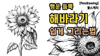 [펜드로잉]해바라기 쉽게그리기/행운,복 들어오는 해바라기/꽃 잘그리는법