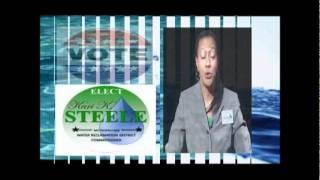 Kari Steele Candidate for Commissioner