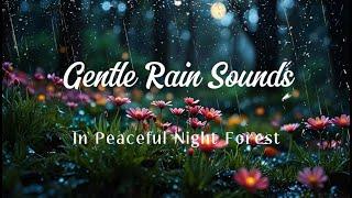 The Sleepy Rain Sound in a Peaceful Night Forest | Natural sound, Helps relax and sleeping