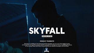 Dancehall Instrumental 2024 "Skyfall" Chronic Law Type Beat