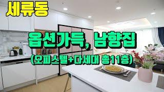 수원신축빌라 막힘없는남향집 옵션가득 총11층 오피스텔과 다세대주택