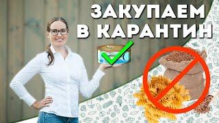 Белковые продукты. Продукты для иммунитета.