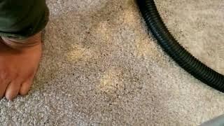 Dye Pro - Removal of Apartment Bleach Spots