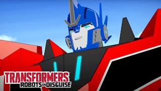 Transformers: Robots in Disguise | Season 2B | COMPILATION | Transformers Official