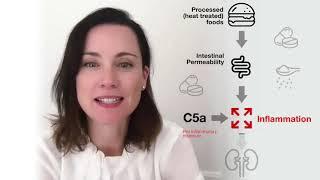 A/Prof Melinda Coughlan explains how processed food triggers inflammation