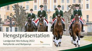 Hengstpräsentation Landgestüt Moritzburg 2022: Reitpferde und Reitponys