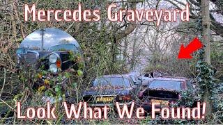 We Explore This Mercedes Benz Graveyard And Found Some Incredible Cars!